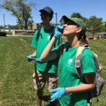 Tree Steward and Urban Forest Researcher