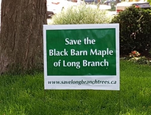 Save the Black Barn Maple Lawn Sign